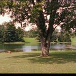 Patsy Hillman Park - @patsyhillmanpark - Instagram