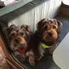 Patty Hinds - @patty.hinds - TikTok