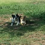Patsy Hinson - @patsy.hinson.73 - Instagram