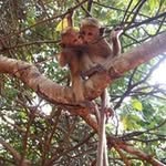 Patsy Ho - @ho.patsy - Instagram