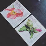 @patsy_howell - Instagram