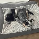 Patsy Hodges - @patsy.hodged - Instagram