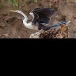 @patsy_hoffman2 - Instagram