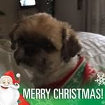 Patty Hoffman - @pahbse - Instagram