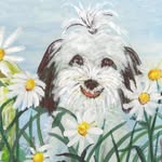 Patty Hoffman Art Page - @happyststudio - Instagram