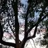 Patty Hogue - @patty.hogue - TikTok