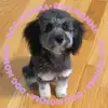 Patty Holbrook - @pattyholbrook - TikTok