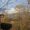 Patty Holman - @patty.holman - TikTok