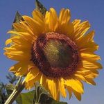 Patsy Holt - @patsy.holt.7583 - Instagram