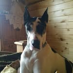 Patsy Patterson Hood - @olredheadednana - Instagram