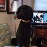 morgan hooten - @hootenpatsy - Instagram