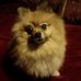 Patsy Hoover - Facebook