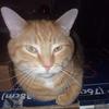 patsyhopkins256 - @patsyhopkins256 - TikTok