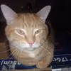 patsyhopkins256 - @patsyhopkins256 - TikTok