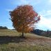 Patsy Howell - Facebook