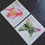 @patsy_howell - Instagram