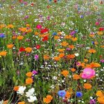 Patsy Huffman - @patsy.huffman - Instagram