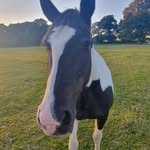 Patsy Hunter - @queenoftaymouth - Instagram