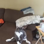 Patsy Hunter - Facebook