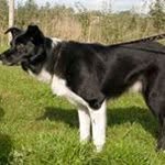 Patsy Hunter - @patsy.hunter - Instagram