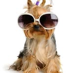 Patsy Hupp - Facebook