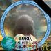 Patsy Hutchison - Facebook