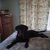 Patty Hutton - Facebook