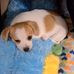 Patsy Inman - Facebook