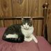 Patty Inman - Facebook