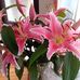 Pat Jamison - Facebook