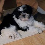 Patsy Jamison - @patsyjamison33 - Instagram