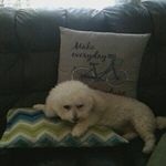 Patsy Jamison - @patsy.jamison.54 - Instagram