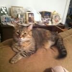 Patsy Jarrell - @patsyjarrell - Instagram