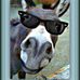 Patsy Jenkins - Facebook