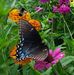 Patsy Jennings - Facebook