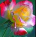 Patsy Jewell - Facebook