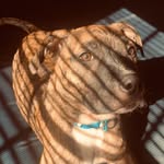 Patty Jewell Bryan - @patty_jewell2020 - Instagram