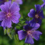 Patsy John - @john.patsy - Instagram