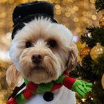 Patsy John - @mimipatc2 - Instagram