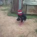 Patty John - Facebook