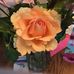 Patsy Alexander Caulder Johns - Facebook