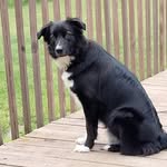 Patsy Johnson - @patsyjohnson235 - Instagram