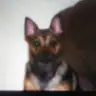 Patty Justice - @pattyjustice2 - TikTok