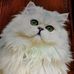Patsy Justus - Facebook