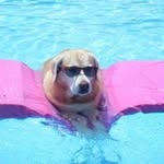 Patty Berry-Kaiser - @berrykaiser - Instagram