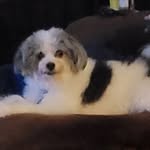 Patty Kaufman Haas - @patty_haas - Instagram