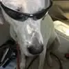 Pat Kellogg Geis - @pat.kellogg.geis - TikTok