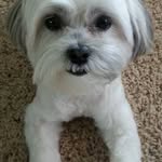 Patsy Keltner - @patsykrltn - Instagram