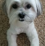 Patsy Keltner - Facebook