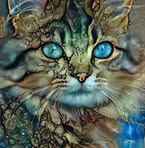 Patty Shelton Keltner - Facebook